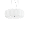 OVALINO SP8