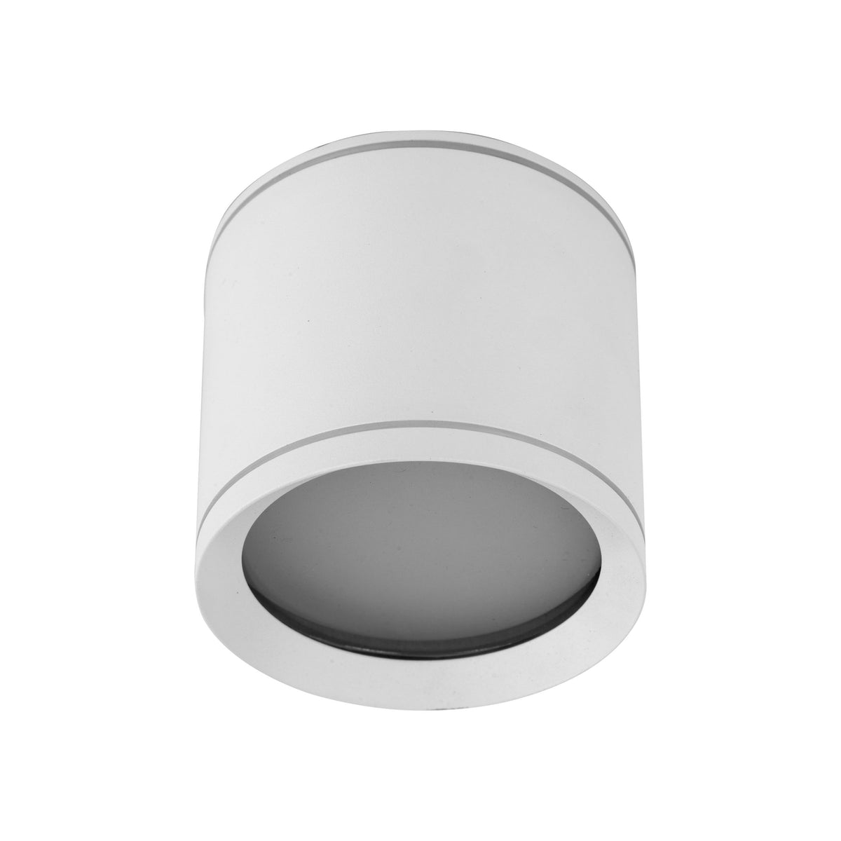 Plafonieră de exterior TK Lighting Vivo, alb, 10595