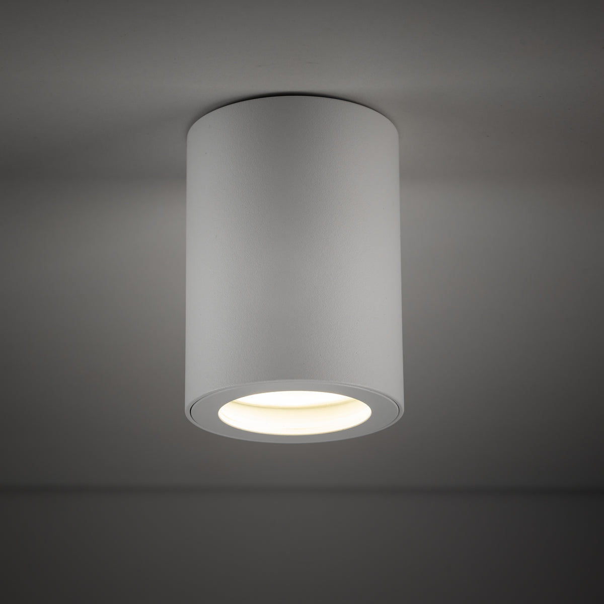 Plafonieră de exterior TK Lighting Ligno, alb, 10932