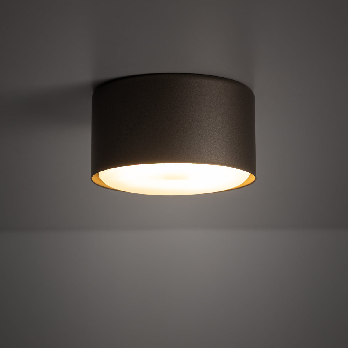 Plafonieră TK Lighting Top, maro, 11062