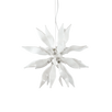 LEAVES SP8
