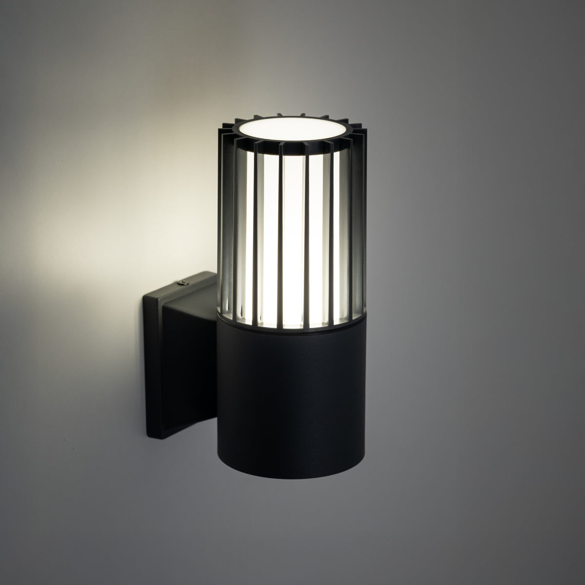 Aplică de exterior TK Lighting Ribo, gri, 11506