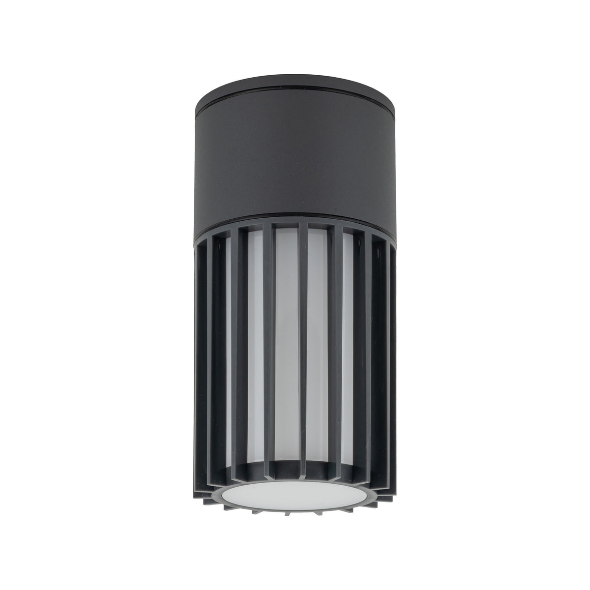 Plafonieră de exterior TK Lighting Ribo, gri, 11508