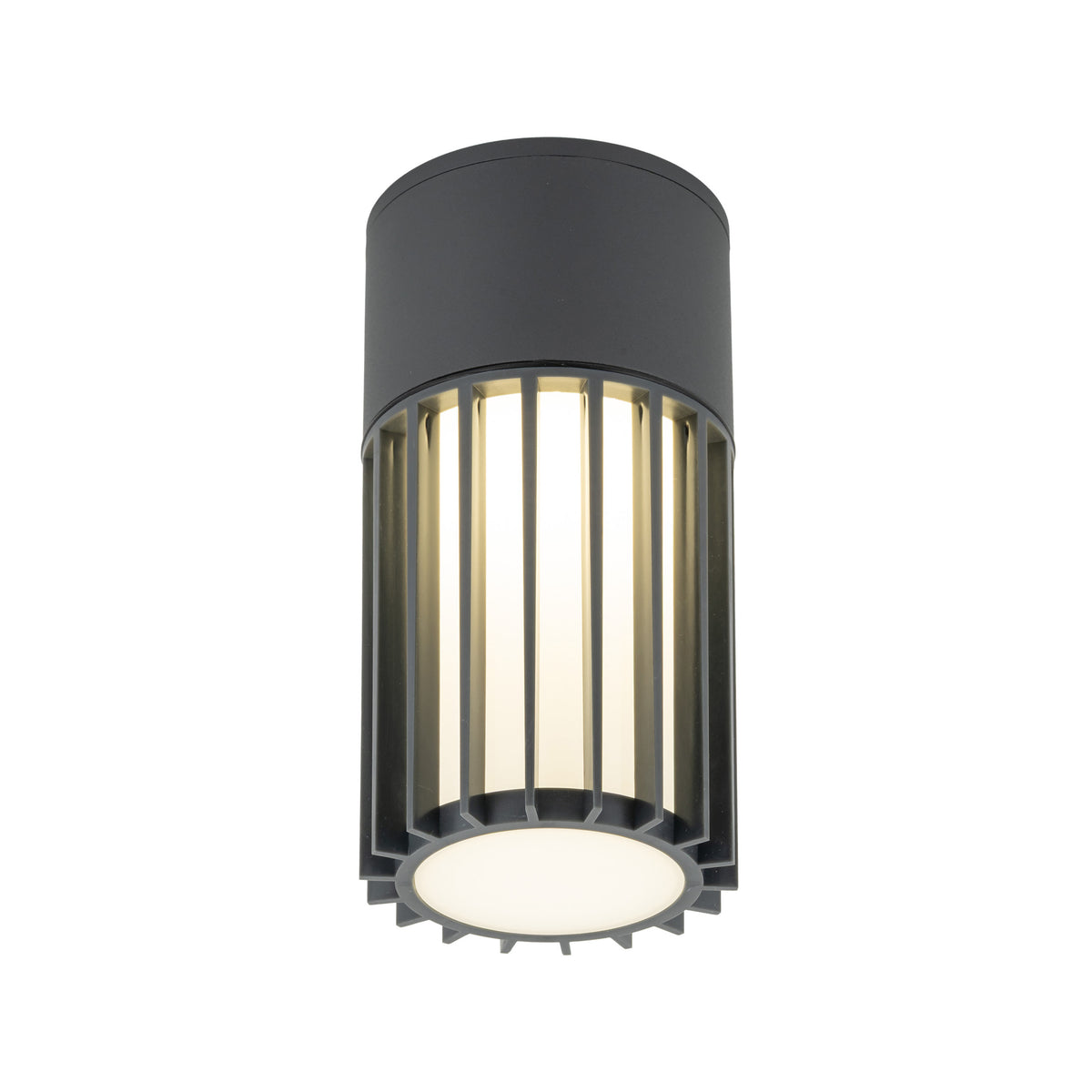 Plafonieră de exterior TK Lighting Ribo, gri, 11508