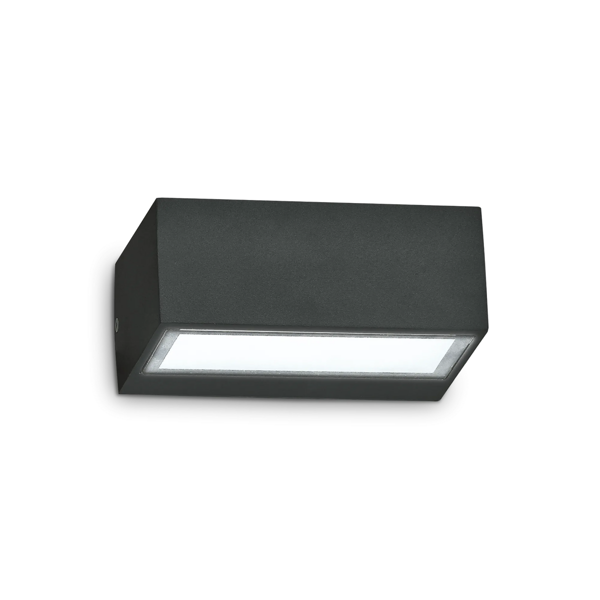 Aplică de exterior Ideal Lux Twin AP1, negru, 115375