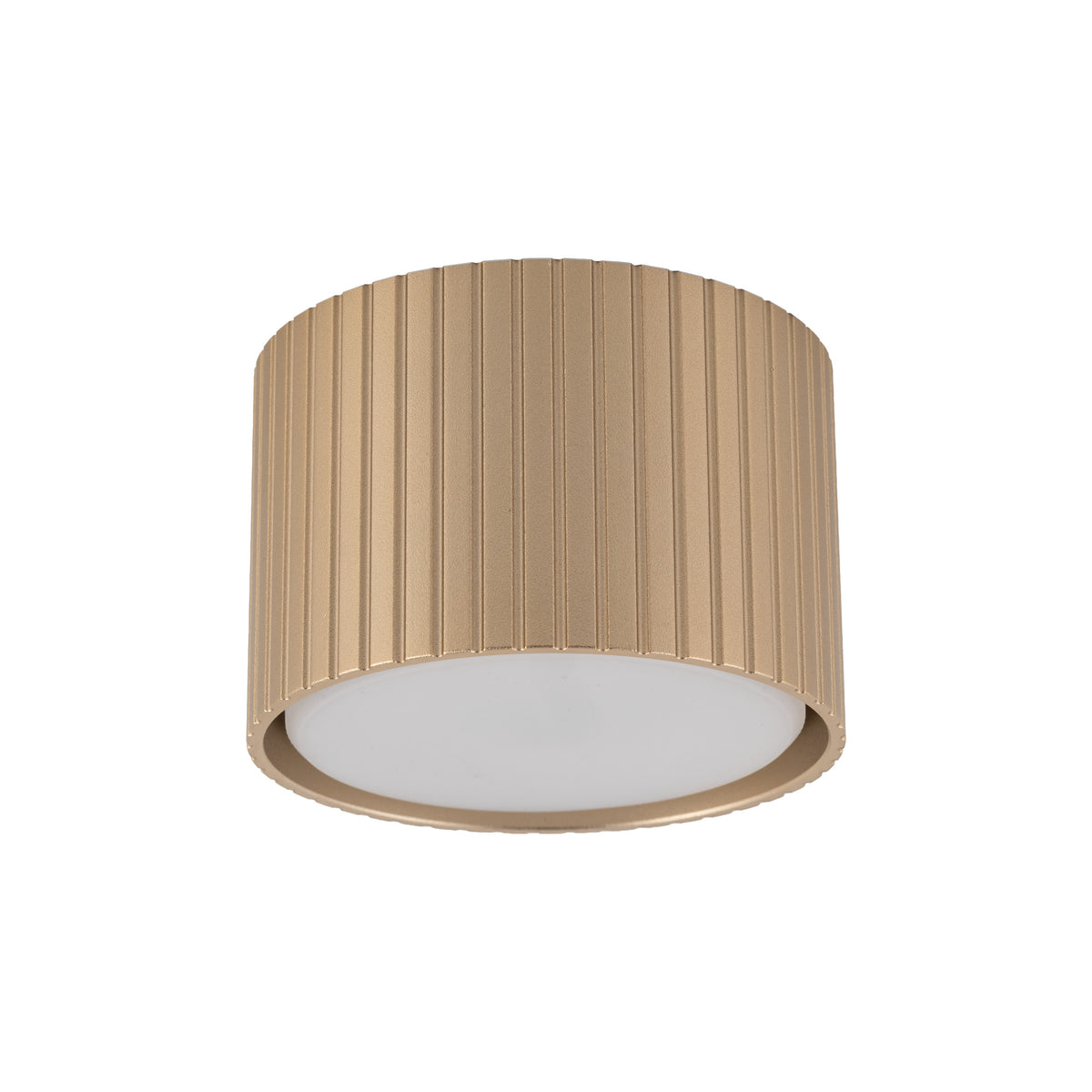 Plafonieră TK Lighting Ferro Downlight, șampanie, 11657