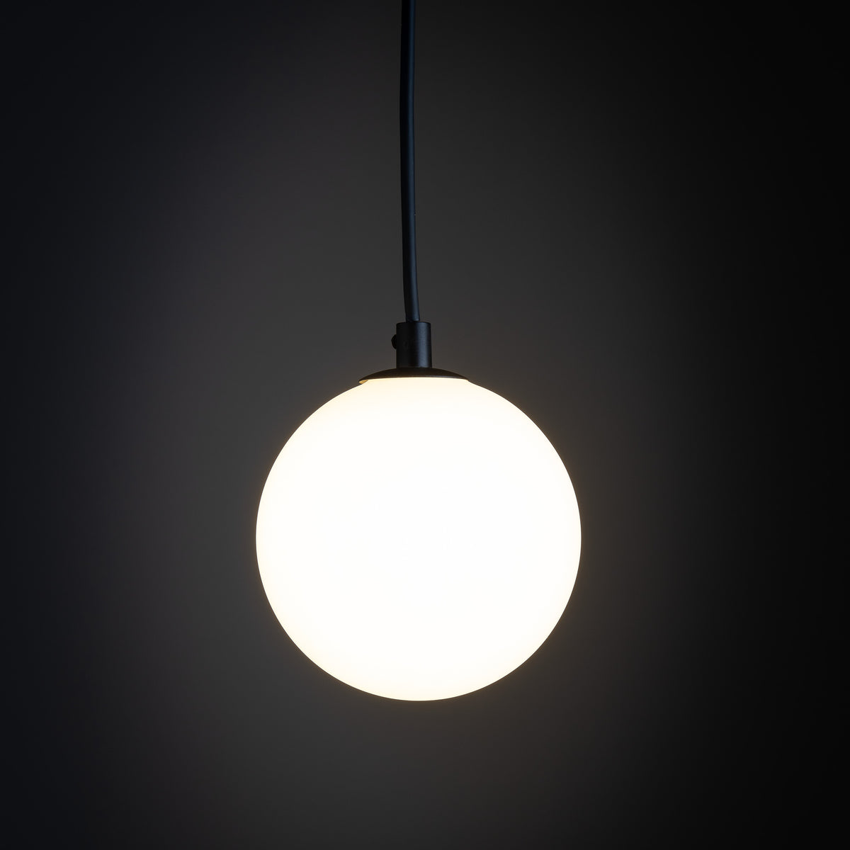 Spot pe șină TK Lighting Tracer Trifazat Glass, negru, alb, 11660