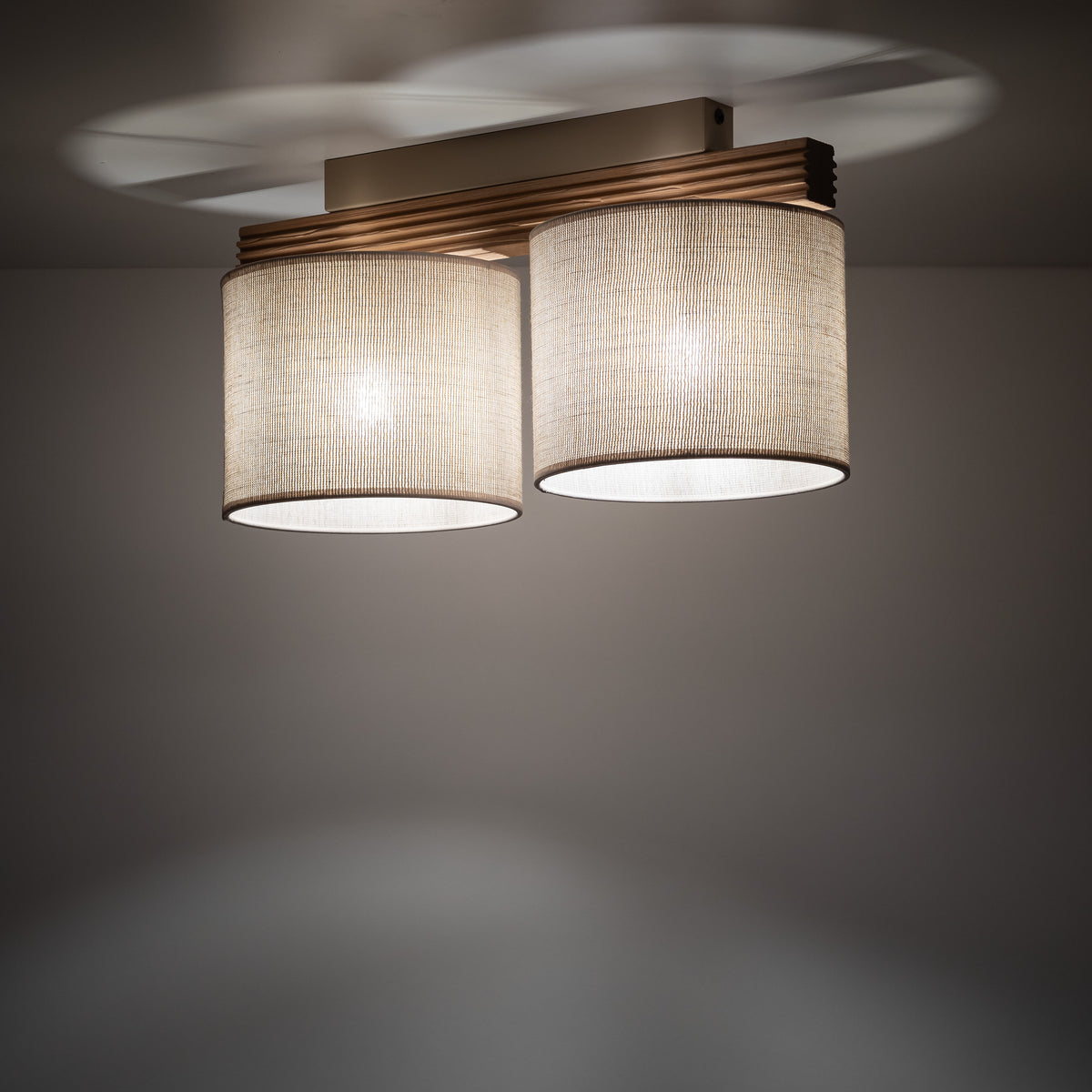 Plafonieră TK Lighting Viga Shade, pin, 2 x E27, 11769