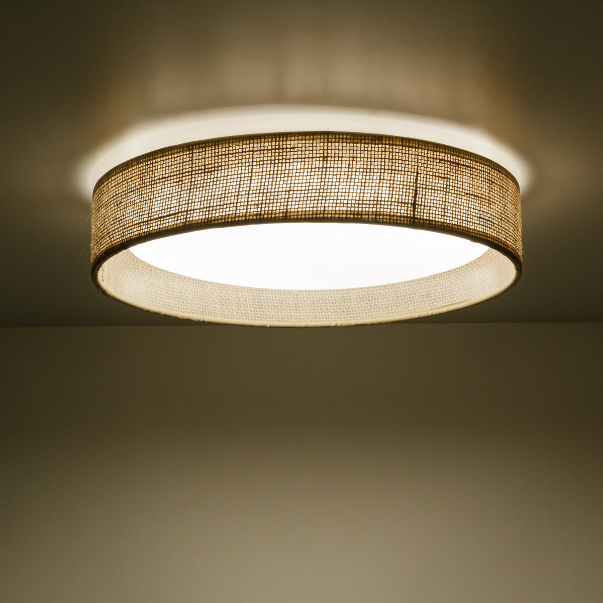 Plafonieră TK Lighting Demi, iută, 11858