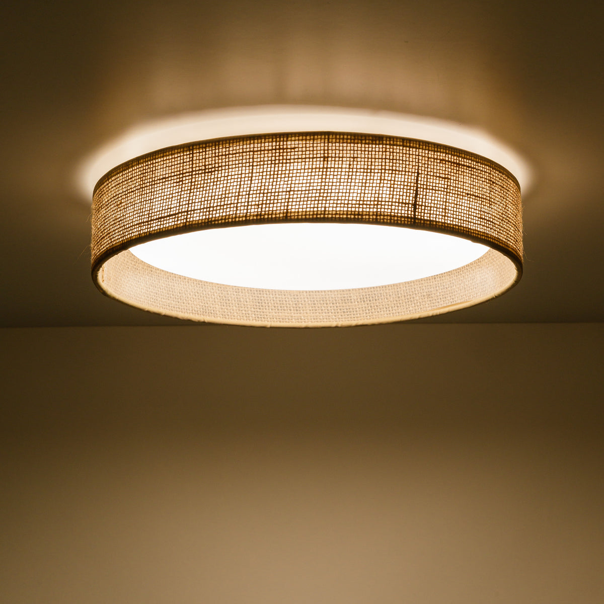 Plafonieră TK Lighting Demi, iută, 11858