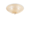 SHELL PL3 AMBRA