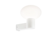 CLIO MAP1 BIANCO