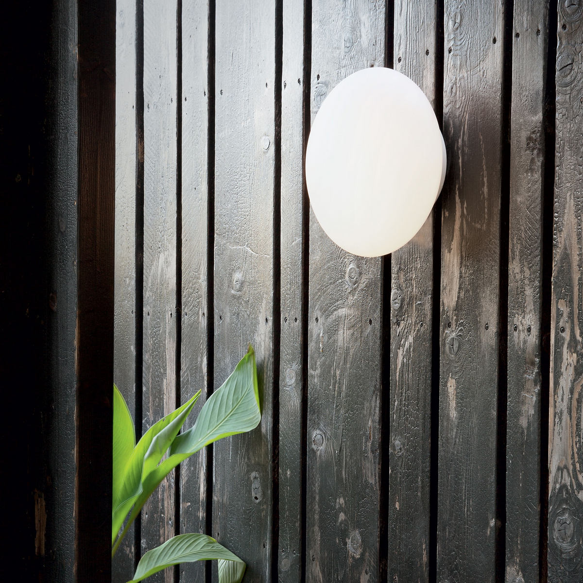 Plafonieră de exterior Ideal Lux Bubble AP2, 158907