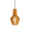 CITRUS-1 SP1