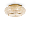 PASHA' PL14 ORO
