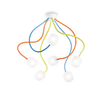 OCTOPUS PL6 COLOR