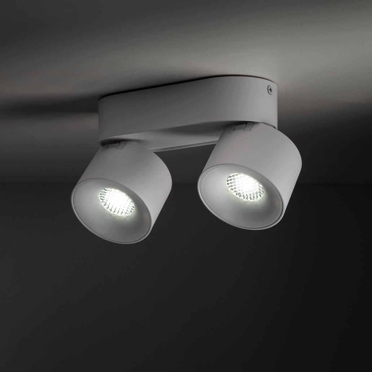 Plafonieră TK Lighting Spark Duo, alb, 2 x LED, 18171