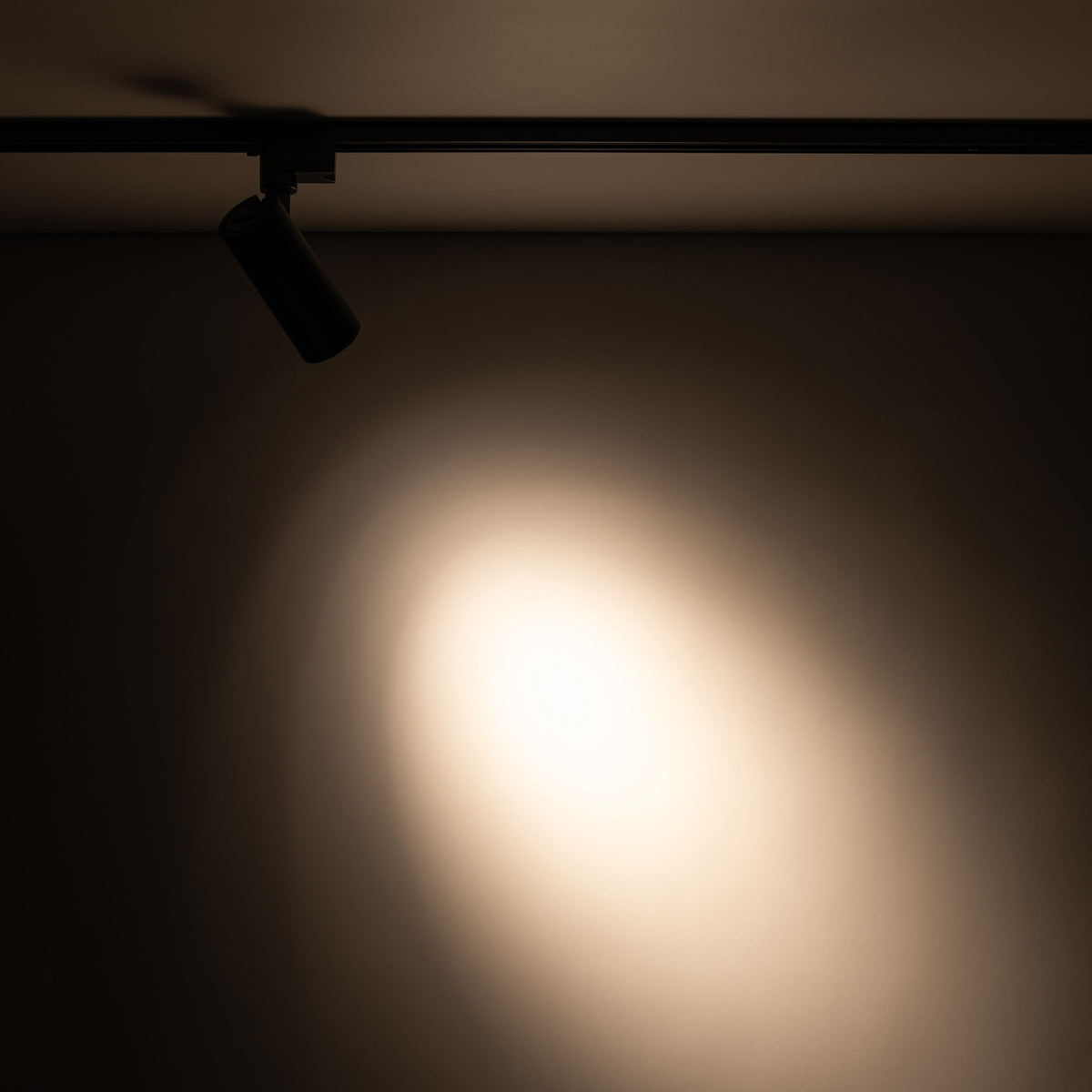 Spot pe șină TK Lighting Tracer, negru, 18178