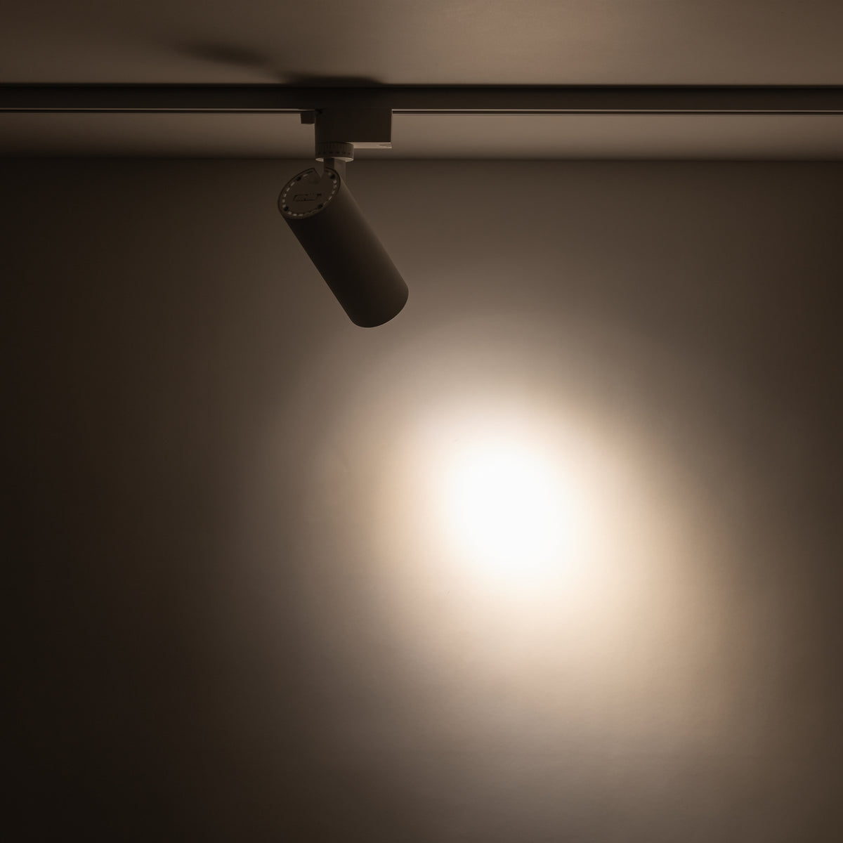 Spot pe șină TK Lighting Tracer, alb, 18179