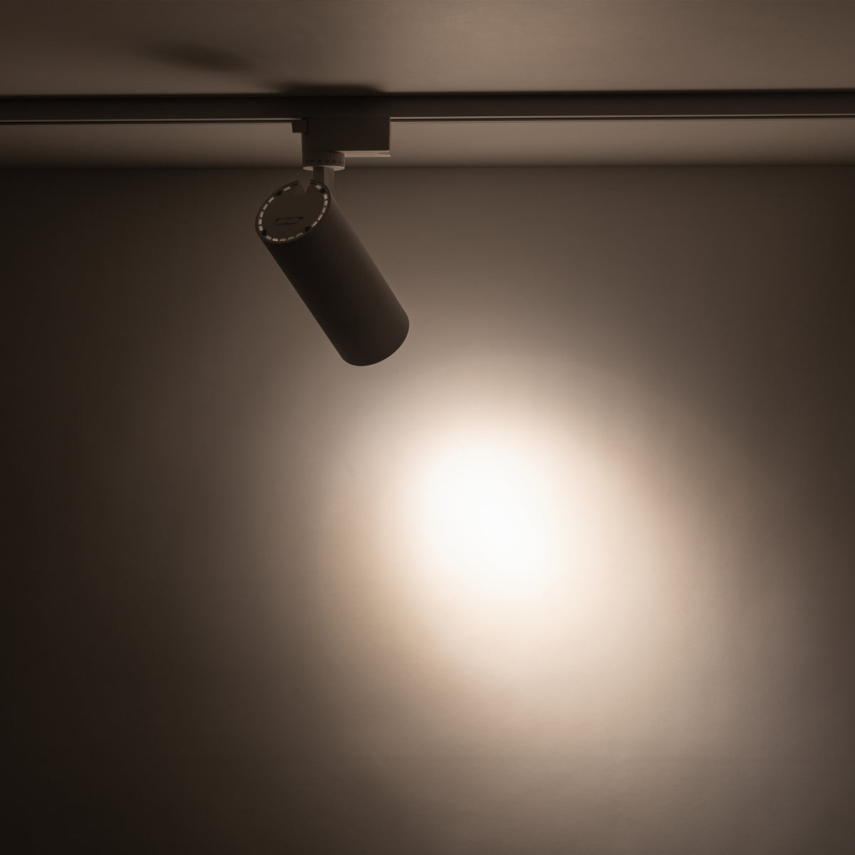 Spot pe șină TK Lighting Tracer, alb, 18180