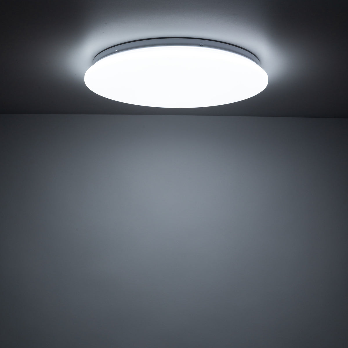Plafonieră TK Lighting Oyster Sufitowy, 18221