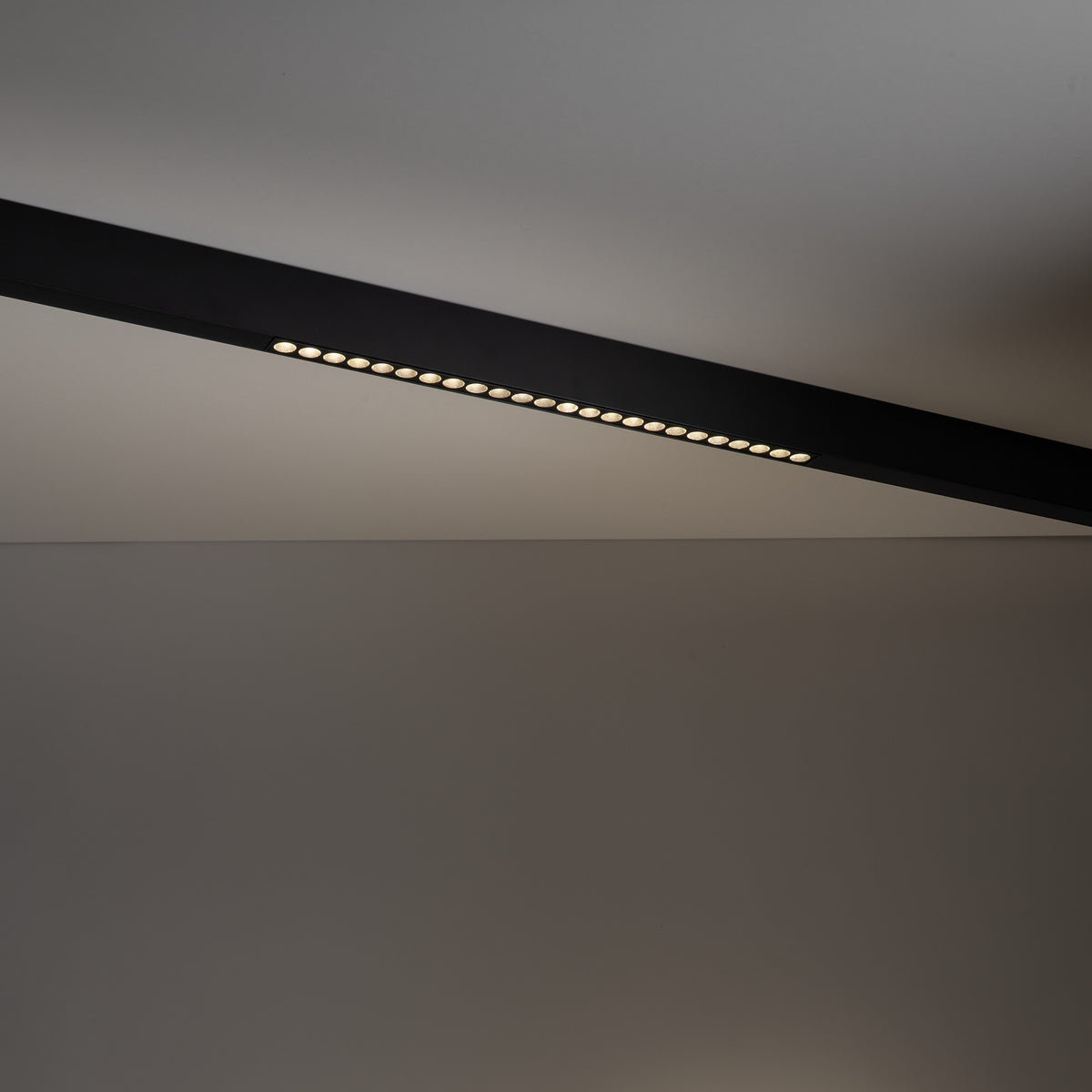 Spot pe șină TK Lighting Magnetic Easy Points, negru, 18275