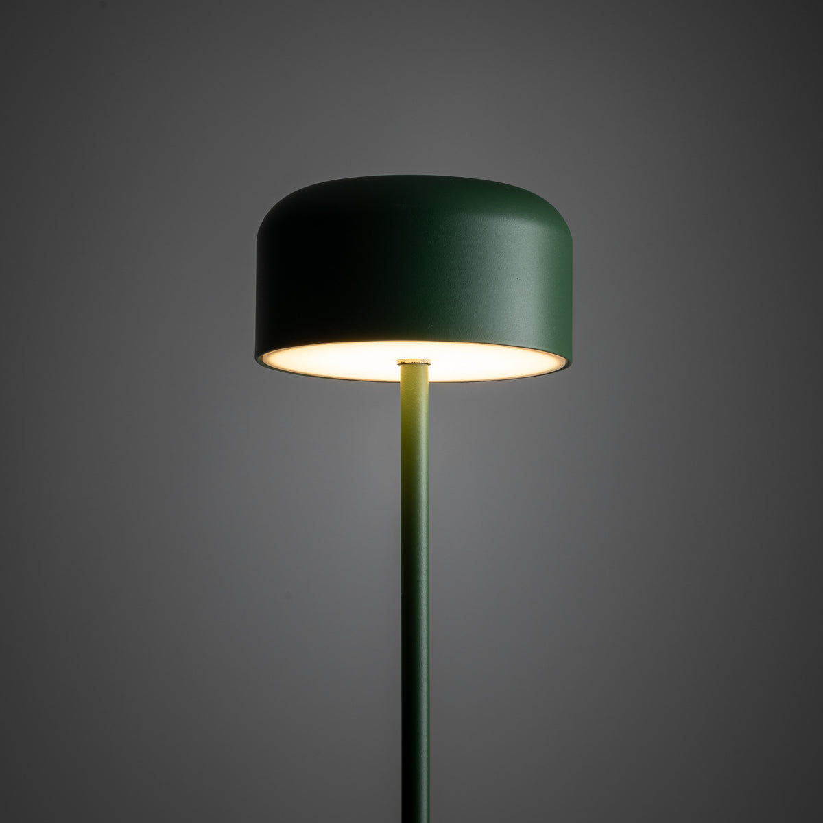 Lampadar TK Lighting Noa, verde, 19007