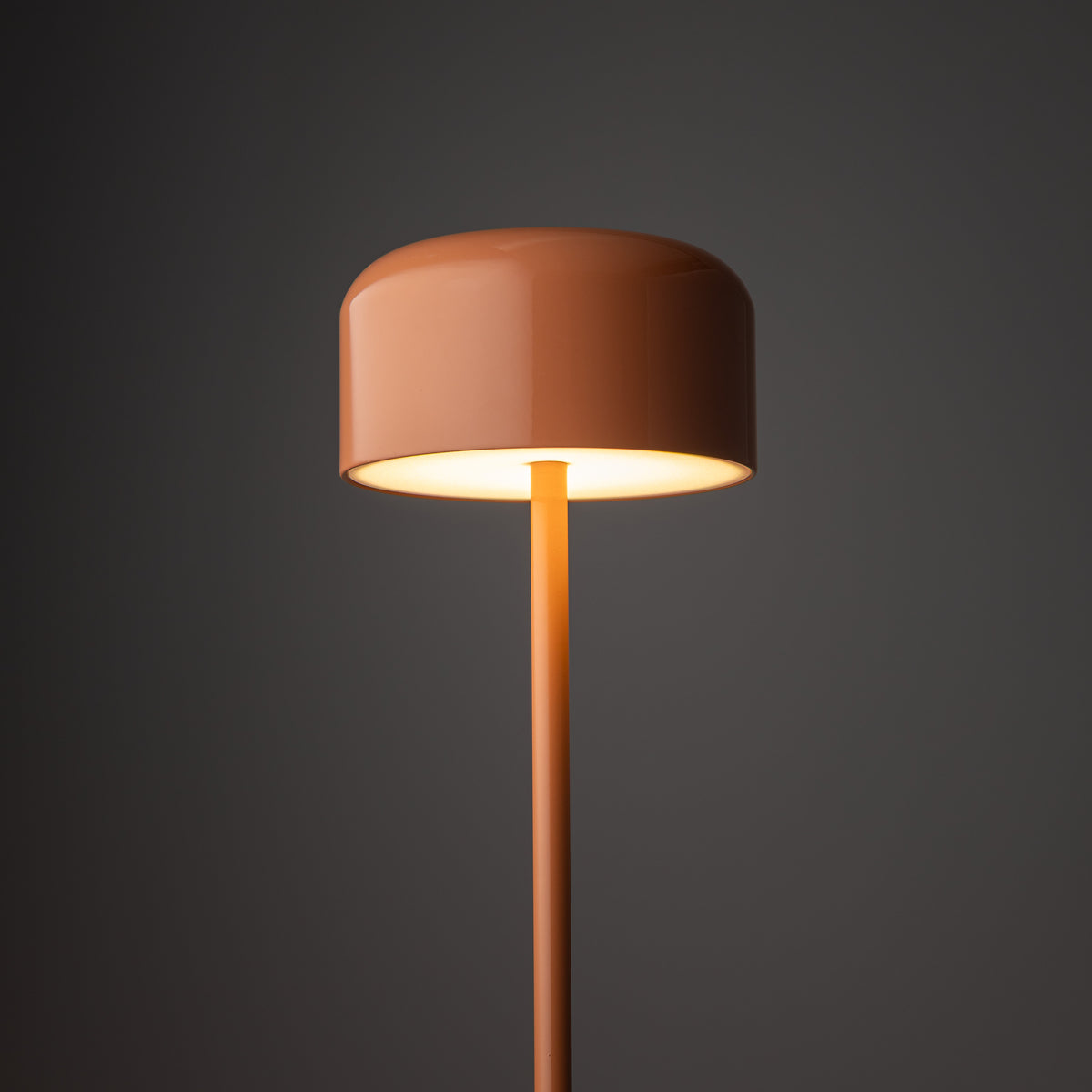 Lampadar TK Lighting Noa, somon, 19008