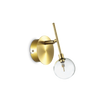MARACAS AP1