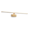 ALMA AP D81 OTTONE