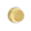 TICK AP ORO 238944