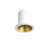 VIRUS FI WH GD 244822