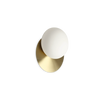 NINFEA AP1 OTTONE