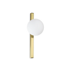 BINOMIO AP1 OTTONE
