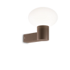 CLIO MAP1 COFFEE