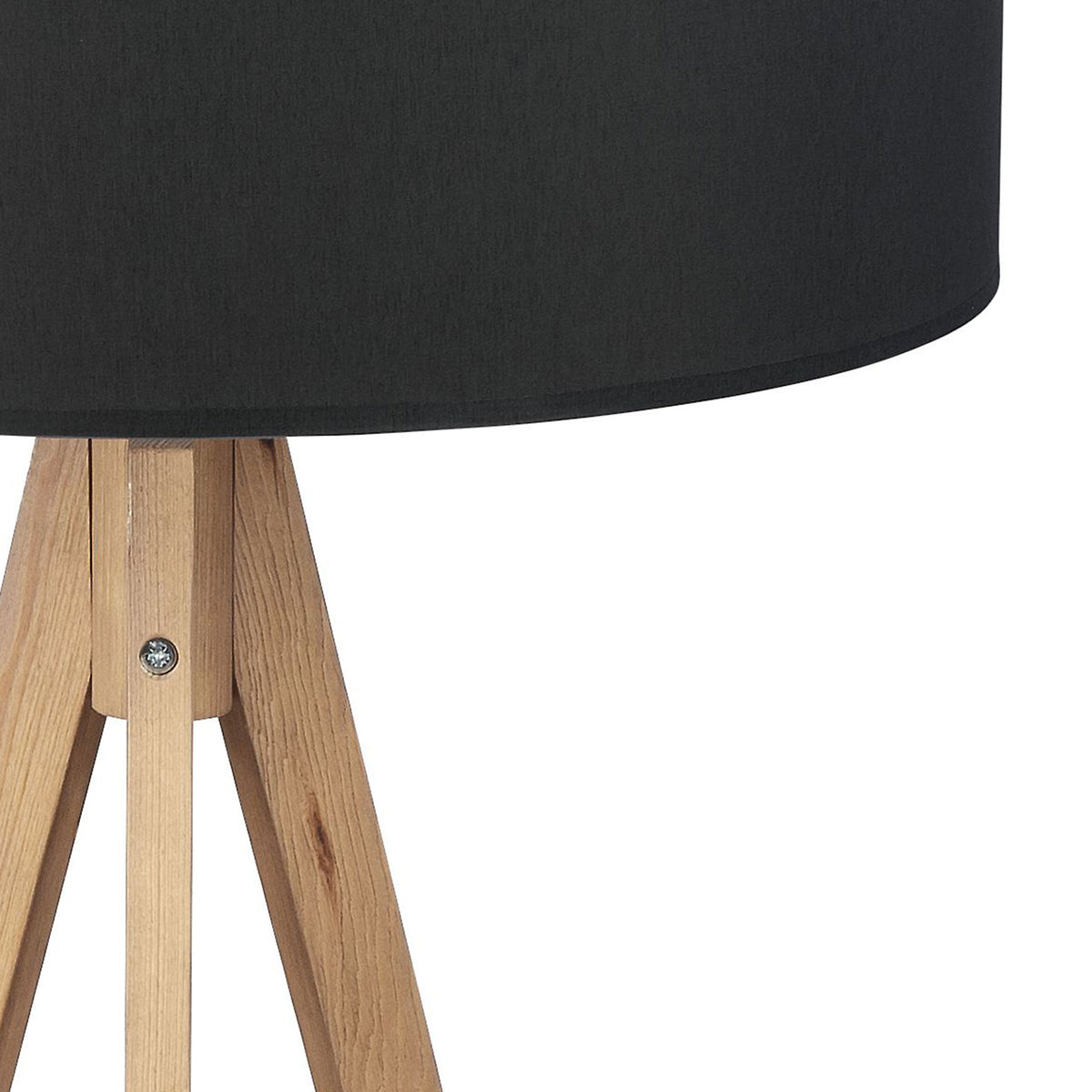 Lampadar TK Lighting Treviso 1 Fsc 100% SA-COC-006060, negru, 5039