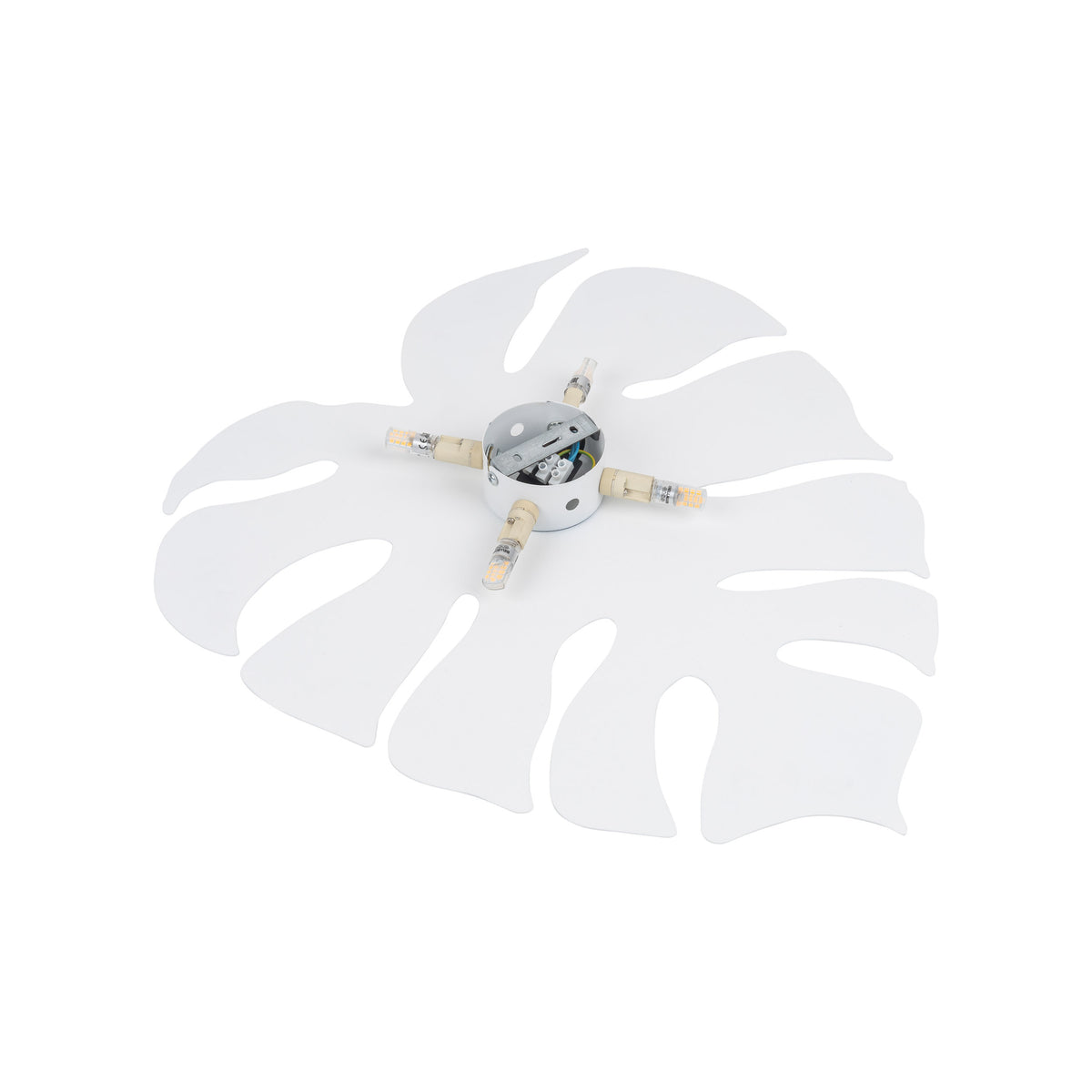 Aplică TK Lighting Monstera XL, alb, 4 x G9, 5915