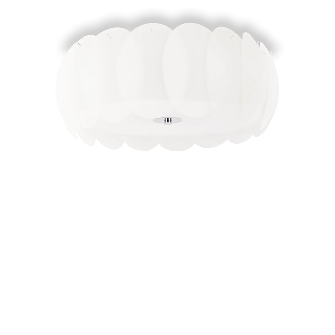 OVALINO PL8