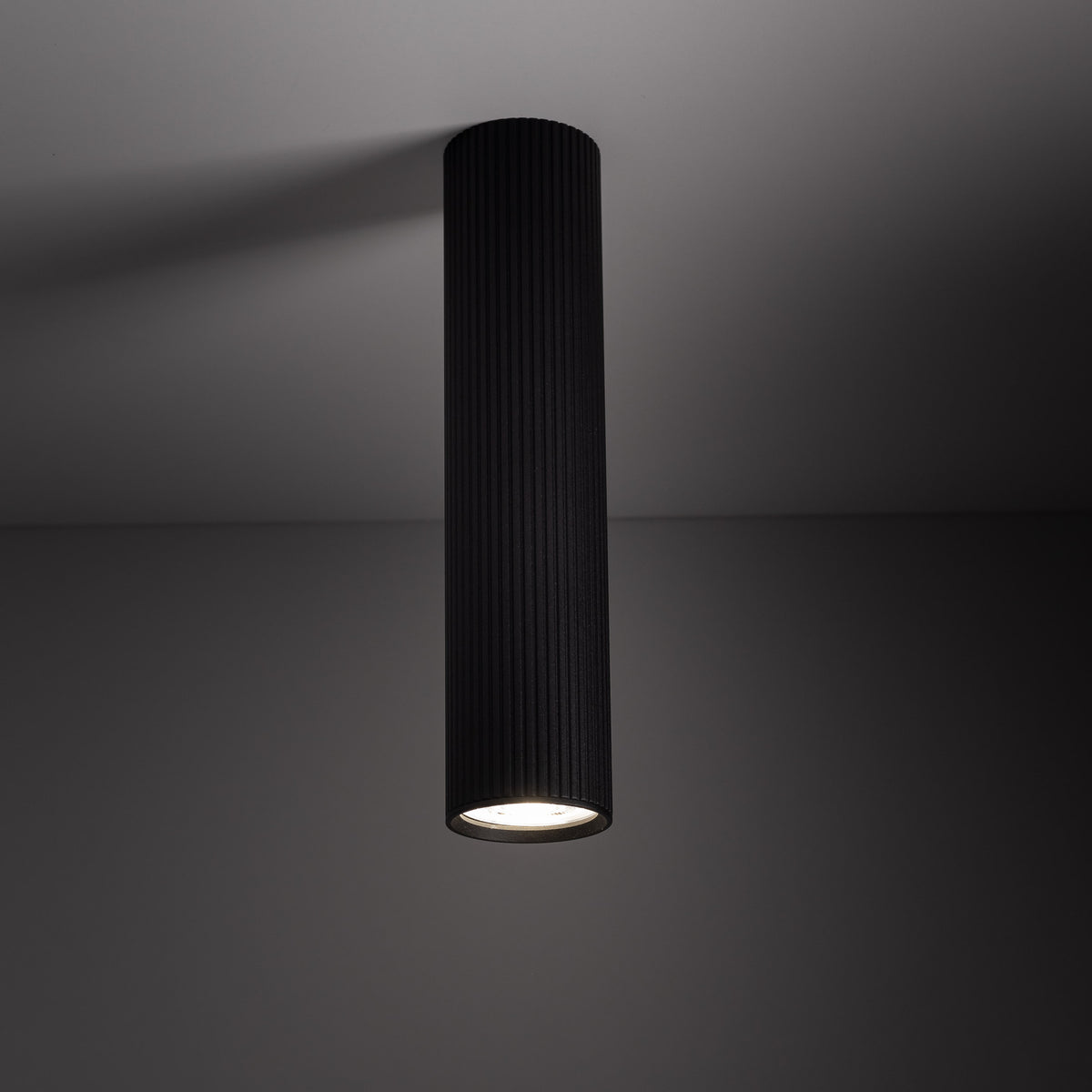 Spot Tune Black L 10026