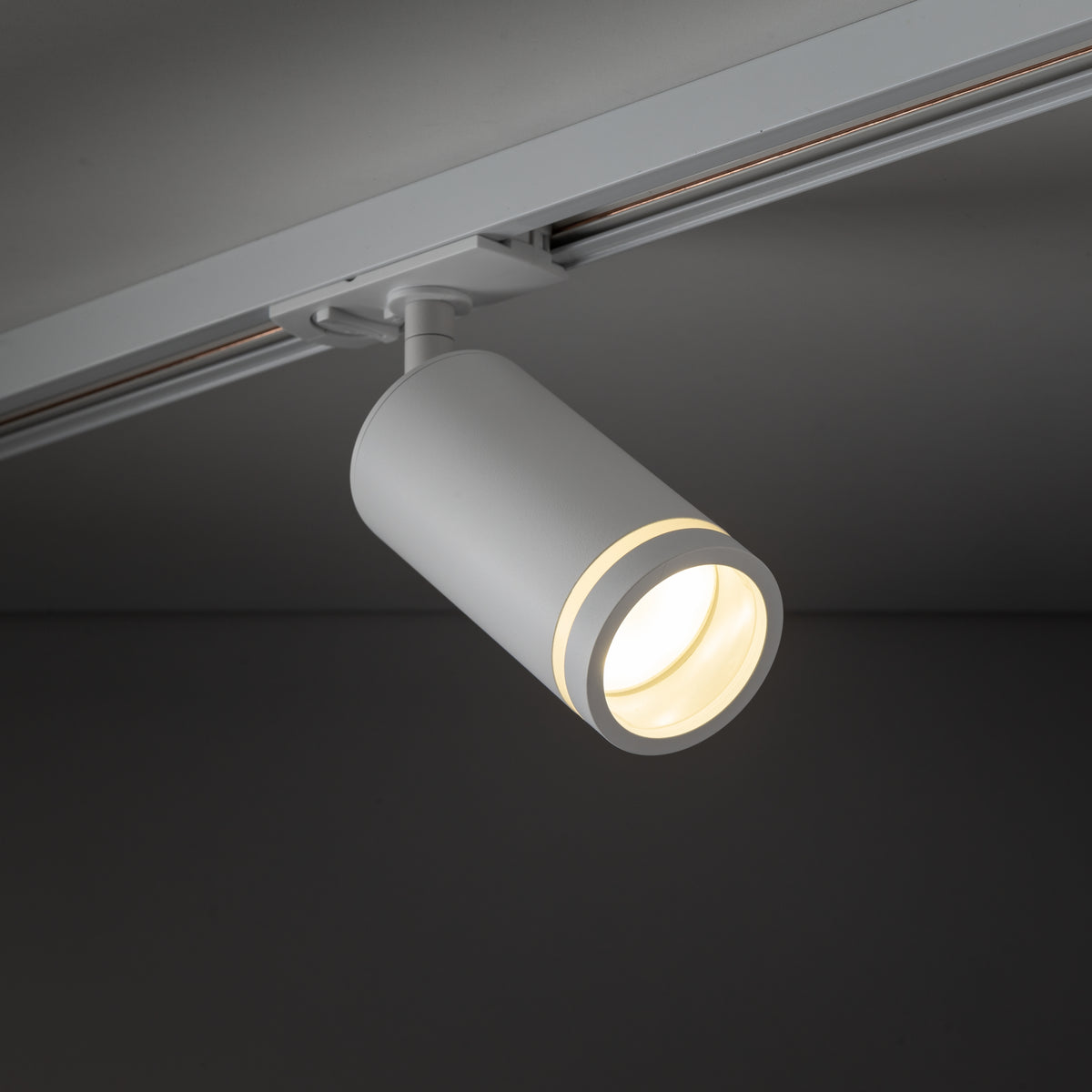 Spot pe șină TK Lighting Tracer Ring Slim, alb, 10028