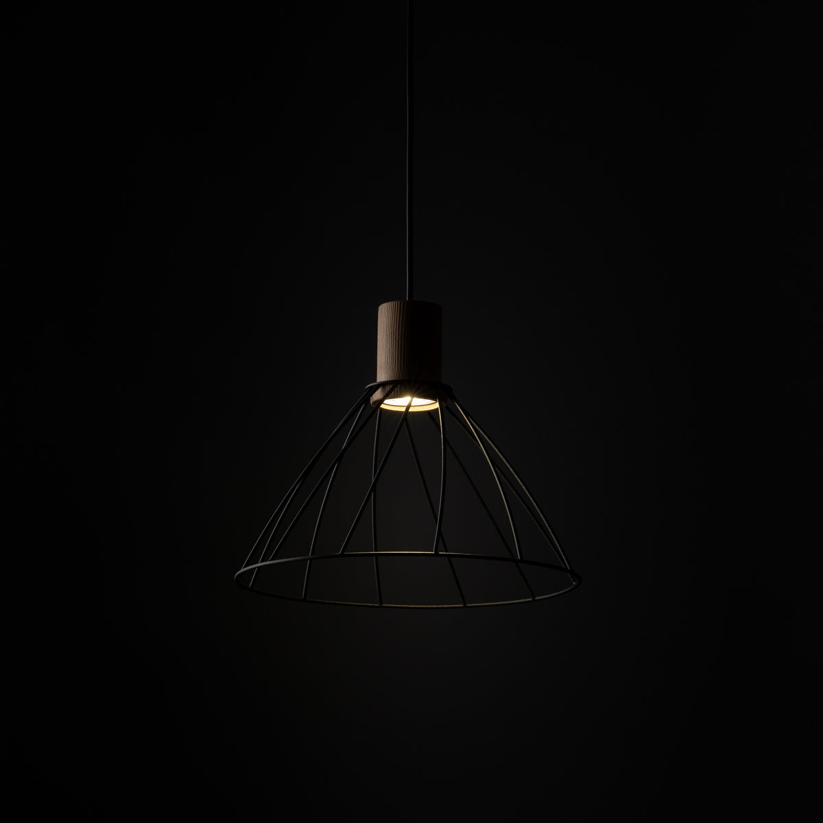 Lampa suspendată Modesto Wood 10156 TK 10156