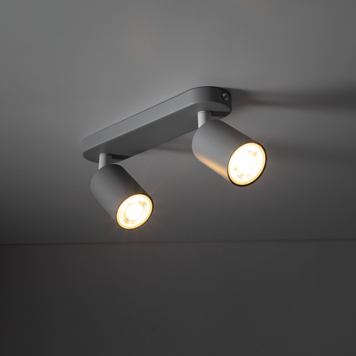 Plafoniera Livia Gray 10241