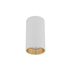 Aplică TK Lighting Amis Downlight, alb, 10719