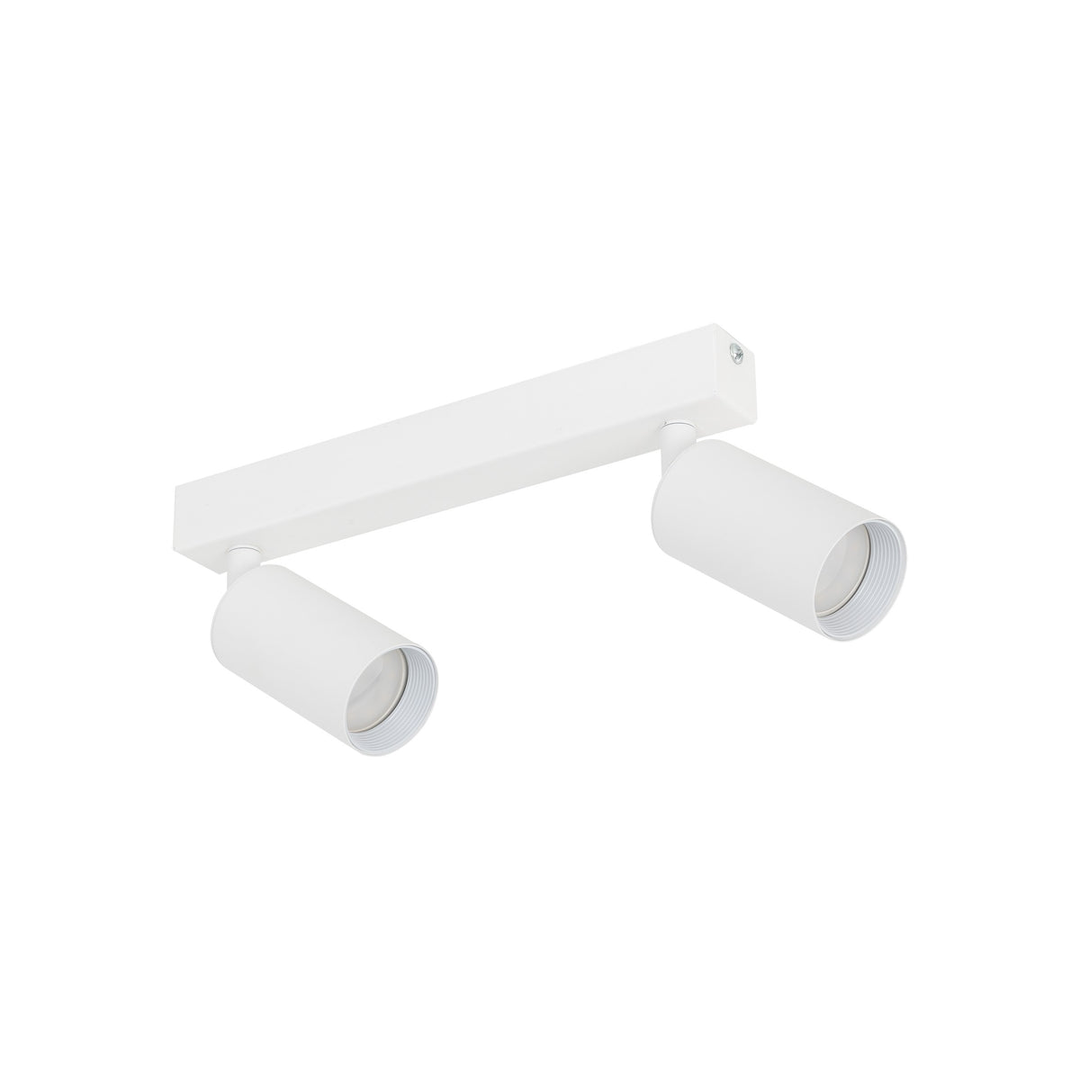 Plafonieră TK Lighting Amis 2, alb, 2 x GU10, 10795