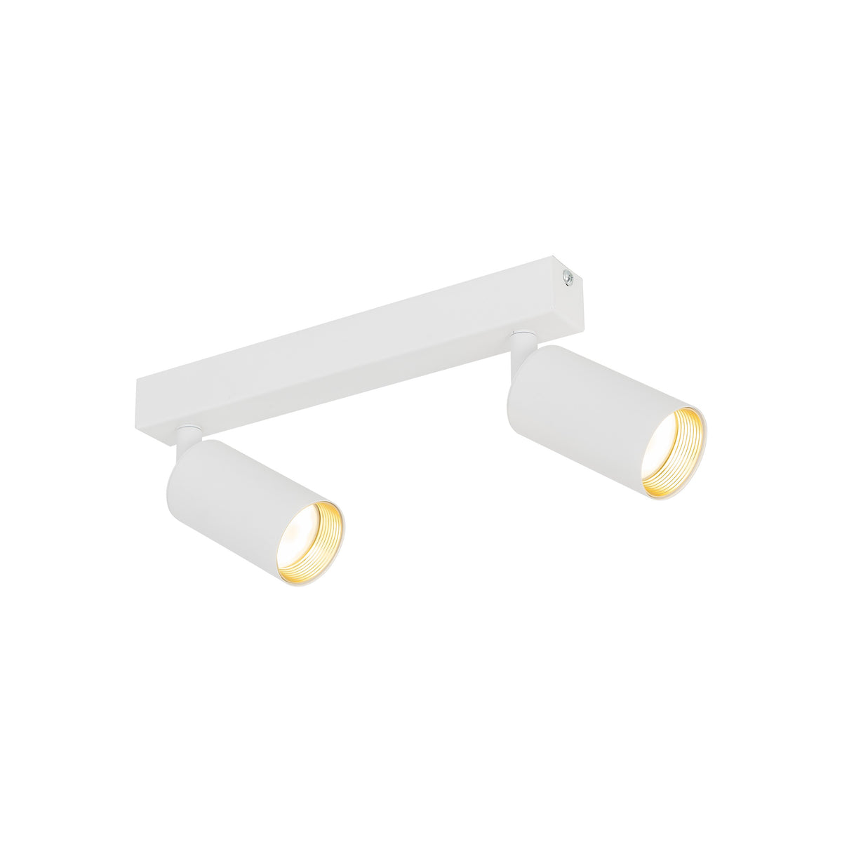 Plafonieră TK Lighting Amis 2, alb, 2 x GU10, 10795