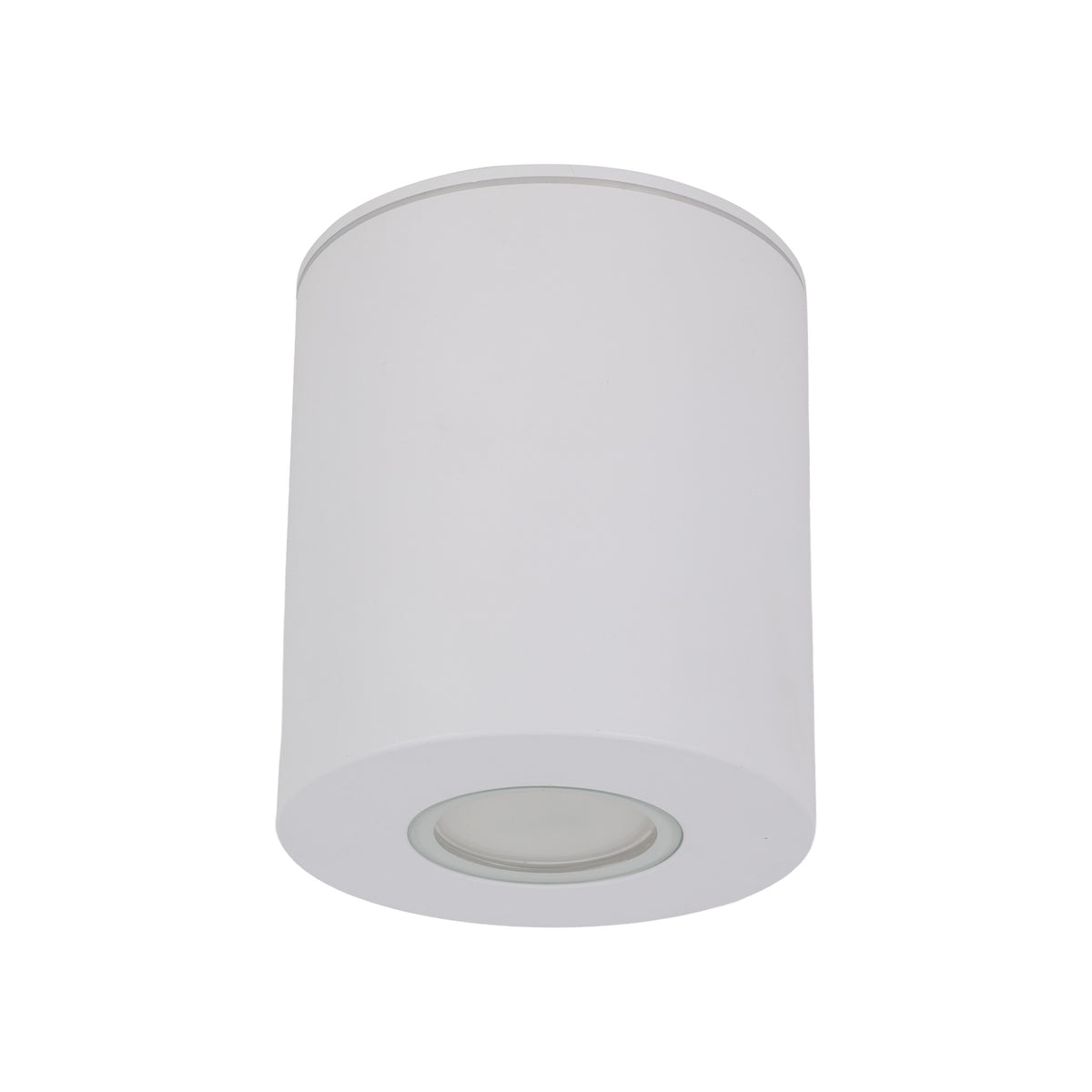 Plafonieră TK Lighting Orion M, alb, 11186