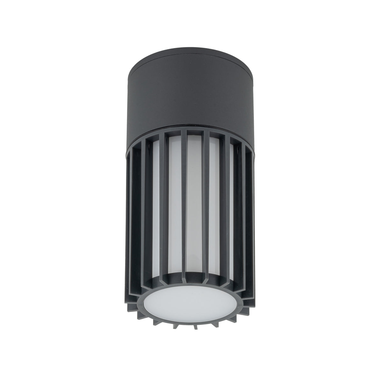 Plafonieră de exterior TK Lighting Ribo, gri, 11508