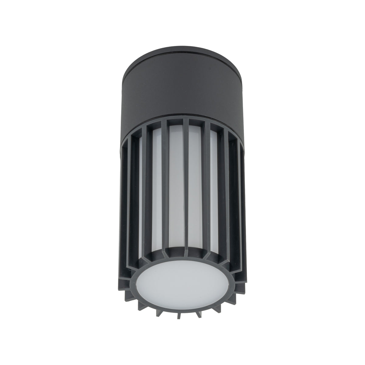 Plafonieră de exterior TK Lighting Ribo, gri, 11508