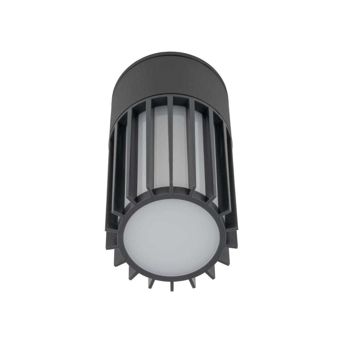Plafonieră de exterior TK Lighting Ribo, gri, 11508