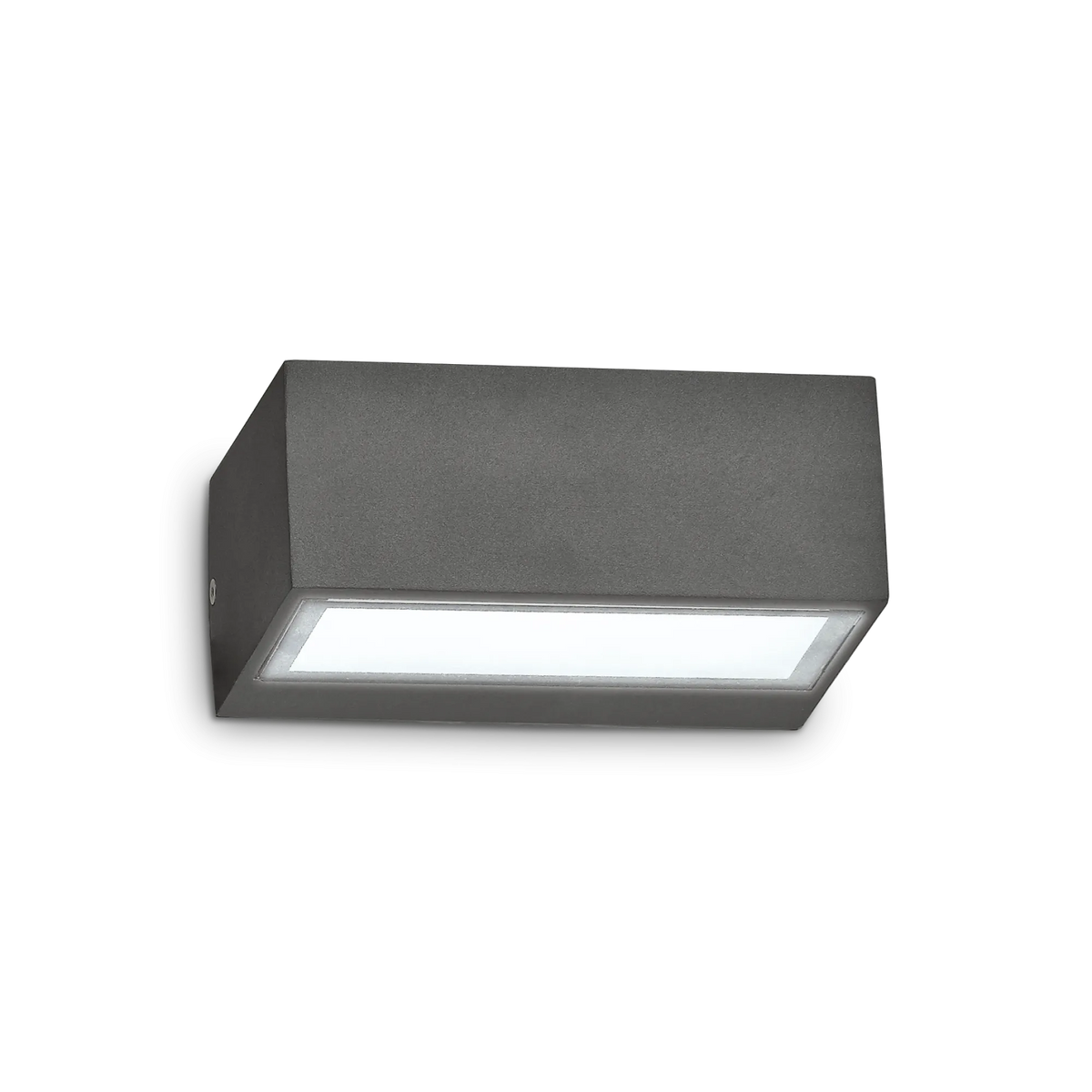 Aplică de exterior Ideal Lux Twin AP1, antracit, 115368